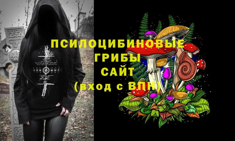 Псилоцибиновые грибы Cubensis  площадка телеграм  Тырныауз 